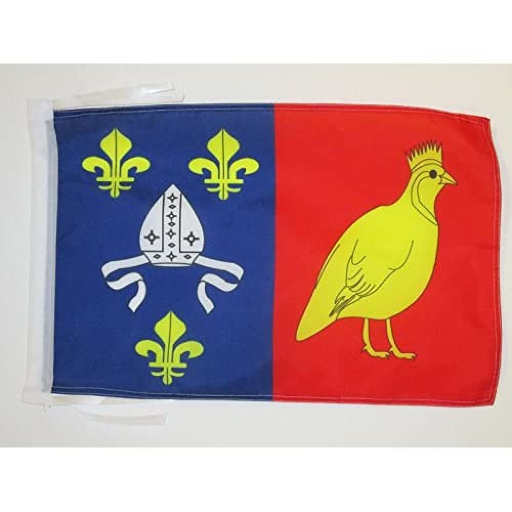 AZ FLAG - Charente Maritime Flag - 18'' x 12'' - 100% Polyester French department - France Small Banner with Two Cords - Fade Resistant - Vivid Colors - 18x12 in - 45x30 Cm — image 1