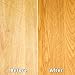 Rejuvenate Professional Wood Floor Restorer Fills Scratches, Seals And Protects Wood Flooring For A Matte Satin Finish, 1 Gallon