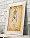 Skeleton - Human Bones Anatomy Vintage Decor, Science Lab Wall Prints, Classic Medical Orthopedic and Nursing Student Gift, 11x14 Unframed Art Print Poster