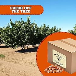 Presto Sales Filberts Hazelnuts Raw In Shell - 160