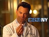 CSI: NY, Season 02