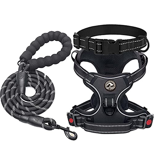 Qisebin Dog Harness, No-Pull Pet Harness with 2 Leash Clips, Adjustable Soft Pa…