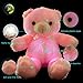 WEWILL Creative Light Up LED Inductive Teddy Bear Stuffed Animals Plush Toy Colorful Glowing Teddy Bear Nice Gift for Mother's Day, 20- Inch(Pink)