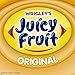JUICY FRUIT Fruity Chews Original Sugarfree Gum, 40 Piece Bottle