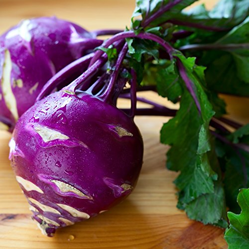 Purple Kohlrabi Alka seeds - Brassica oler convar. acephala var. gongylodes