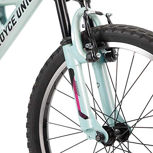 schwalbe hurricane tires