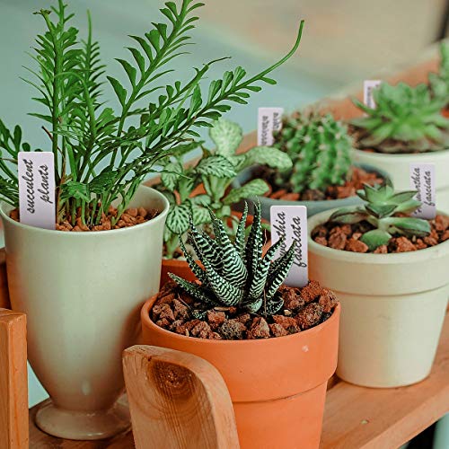 eZAKKA 100Pcs Plant Labels Plastic Plant Markers Plant Tags Nursery Garden Stakes Pot Marker (4 Inches) - Thumbnail 5