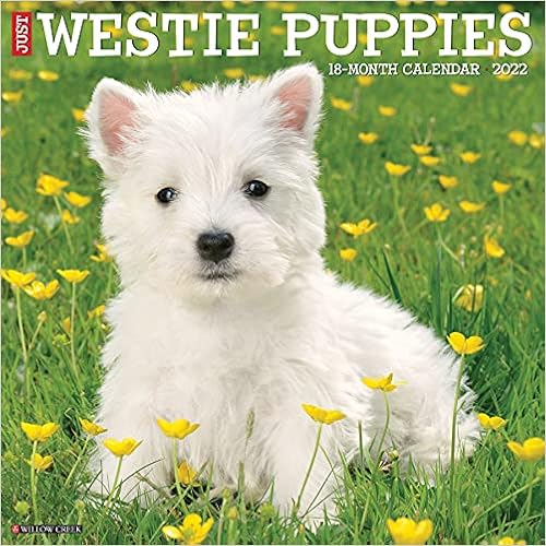 Just Westie Puppies 2022 Wall Calendar (Dog Breed): Willow Creek Press: 9781549220005: Amazon.com: Books