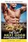 Livro Viagem de carro com o vizinho (Romance festivo em Snowflake Falls Livro 17)