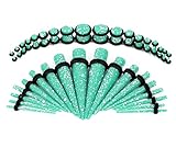 Taper Kit Spots Tapers and Plugs O-Ring 14G-00G Stretching Kit - 36 Pieces