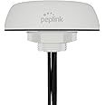 Peplink Cellular Antenna Mobility 40G | 5G/LTE Ready 4x4 MIMO Multi Band External Router Computer Networking Antenna System with GPS Receiver | Robust IP68 Rating, SMA | 6.5ft, White