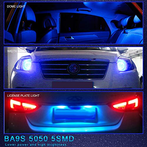 5 EverBrightt+20+Pack+Bulbs+Clearance+License