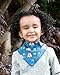 Zippy Fun Baby and Toddler Bandana Bib - Absorbent 100% Cotton Front Drool Bibs with Adjustable Snaps (4 Pack Gift Set) Boys Woodland Animals