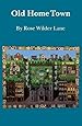 Old Home Town (Bison Book)