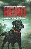 Hero: Hurricane Rescue
