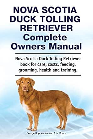 nova scotia duck tolling retriever training