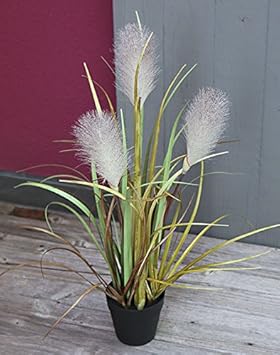 PLANT&STYLE Künstliches Pampasgras, getopft, 55cm, Grün-Braun
