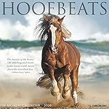 Hoofbeats 2020 Wall Calendar by