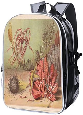 High-end Custom Laptop Backpack-Leisure Travel Backpack Echinoderm, Lithograph, published in 1868 Water Resistant-Anti Theft - Durable -Ultralight- Classic-School-Black