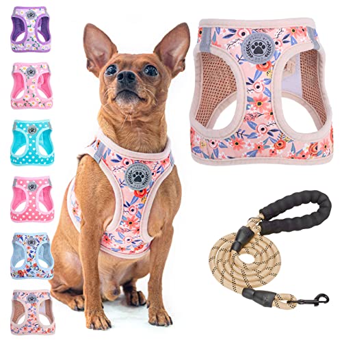 BEAUTYZOO Step Dog Harness Leash Set