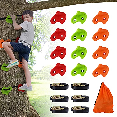 MOLANEPHY Ninja Tree Rock Climbing Holds Kit, 12 Climbing Holds with 6