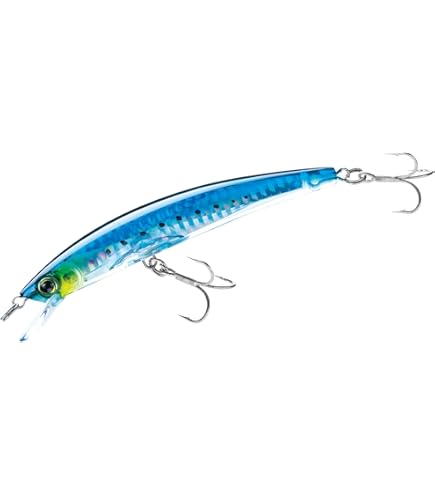 リール mizu Amazon.com : Yo-Zuri F1145 RMT Crystal 3D Minnow (F) 90Mm 3