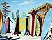 Westmoreland - Surf Shack Metal Tin Sign 16