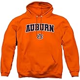 LOGOVISION Official Collegiate Arch Logo Secondary Adult Pull-Over Hoodie Collection 2