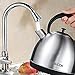 Aicok 709202828916 304 Stainless Steel Electric Kettle 1500W 1.7 Liter, BPA-Free Cooktop, Silver