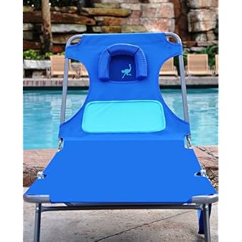 ostrich chaise lounge blue and white striped