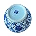 Classic Ming Era Blue and White Porcelain Floral Globe Vase. Globe