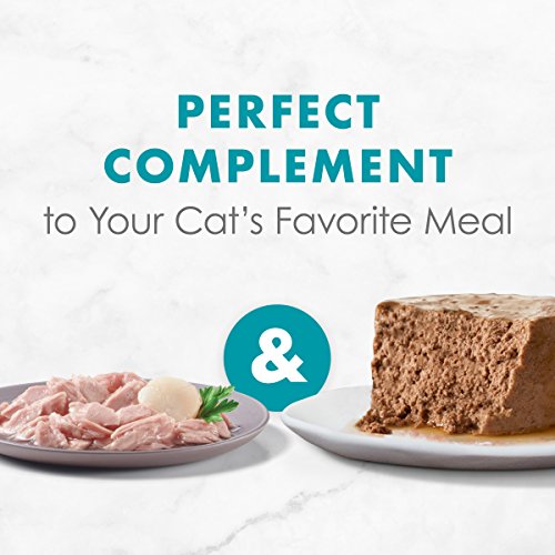 Purina Fancy Feast Wet Cat Food Complement, Appetizers Light Meat Tuna