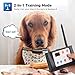 WIEZ Dog Fence Wireless & Training Collar Outdoor 2-in-1, Electric Wireless Fence for Dogs w/Remote, Adjustable Range Control, Waterproof Reflective Stripe Collar, Harmless for All Dogsthumb 1