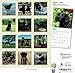 Goldistock 2020 Large Wall Calendar -