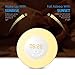 Alarm Clock,Wake up Light For Kids,Best Sunrise FM Radio Alarm Clocks with USB Charger,sunlight and Sunset simulator Sleep Night Light with 6 Nature Sounds Digital Alarm Clock For Heavy Sleepers