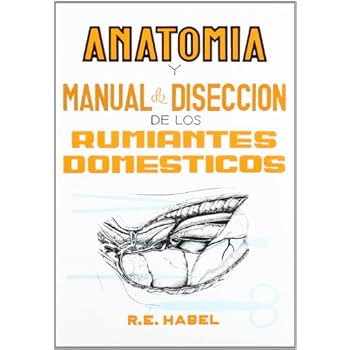 Anatomía y manual de disección de los rumiantes domésticos