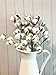 Cotton Stem 3 Pack - 12 Buds Per Stem Rustic 20