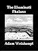 The Illuminati Phalanx (The Illuminati Series Book 5)