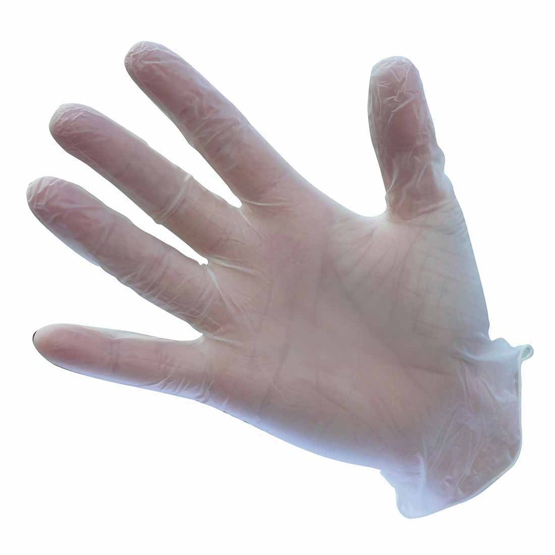 Portwest Powdered Vinyl Disposable Glove, Size: L, Colour: Clear, A900CLRL