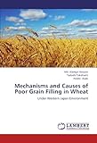 Image de Mechanisms and Causes of Poor Grain Filling in Wheat: Under Western Japan Environment