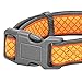 Blueberry Pet 13 Patterns Soft & Comfy Urban Chic Diamond Pattern Neoprene Padded Dog Collar, Yellow, Medium, Neck 14.5