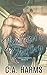 Jackson's Destiny (Sawyer Brothers Book 2)