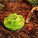 DDS5391 Reptile Automatic Drinker Terrarium Feeding Bowl Food Water Dish Small Pet Breeding Drinking Basin 3#thumb 4