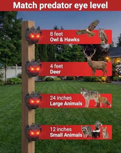 Coyote Deterrent Light Not Turning On At Night? 5 Fixes Before You Replace It 13 Thumbnail 13