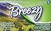 Breezy Mountain Scent Dryer Sheets, 120 Count