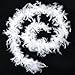 Skeleteen Feather Boa Costume Accessory - 1920's White Boa with Feathers - 1 Piece