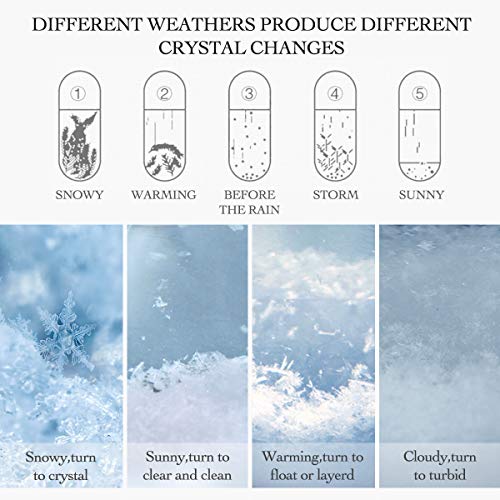 CAVEEN Storm Glass Weather Station Creative Weather Predictor Desktop Globe Storm Crystal Weather Forecaster Stylish Decorative Glass Barometer Bottle with Glass Base for Home and Office Large