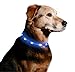 LED Dog Necklace Collar - USB Rechargeable Loop - Available in 6 Colors - Makes Your Dog Visible, Safe & Seen