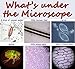 Babrit Microscope Kit 100X-400X Inspecting Dissecting Microscope Basic Science Microscope
