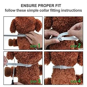 jianghui - Collare Anti-pulci per Cani jianghui jianghui - Collare Anti-pulci per Cani